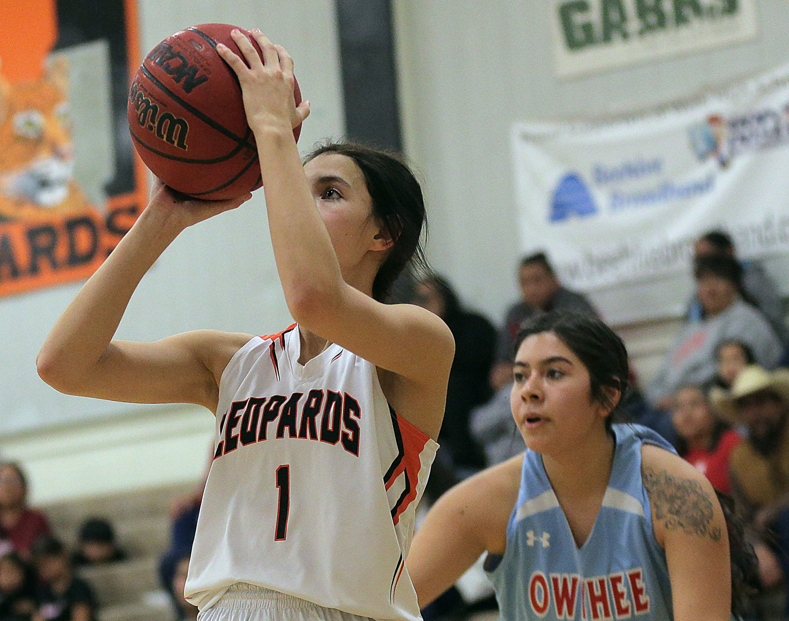 Owyhee at Wells Girls Basketball (11).jpg